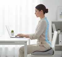 Vertaease™ Back Support Cushion – Relieve Back Pain in Minutes