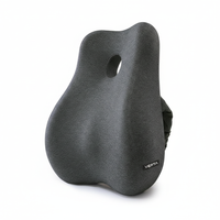 Vertaease™ Back Support Cushion – Relieve Back Pain in Minutes